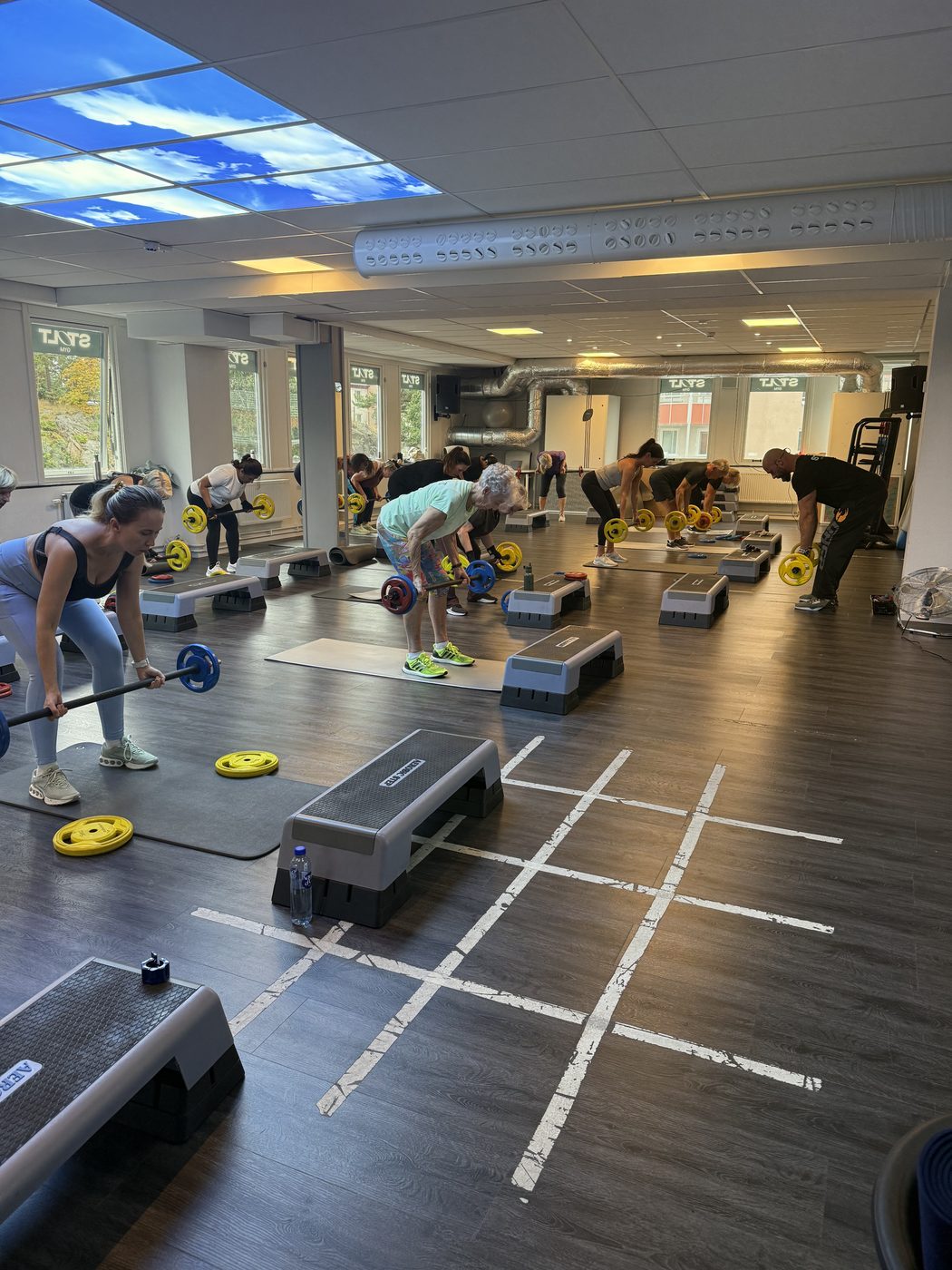 Pump-pass med skivstång och step