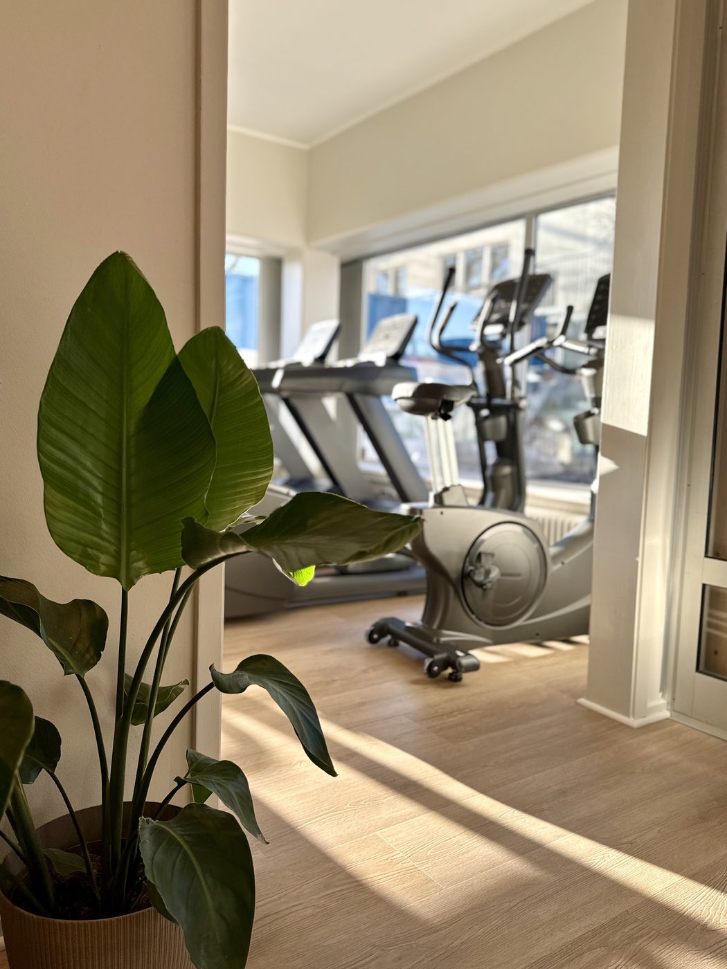 Vy in mot cardioavdelningen