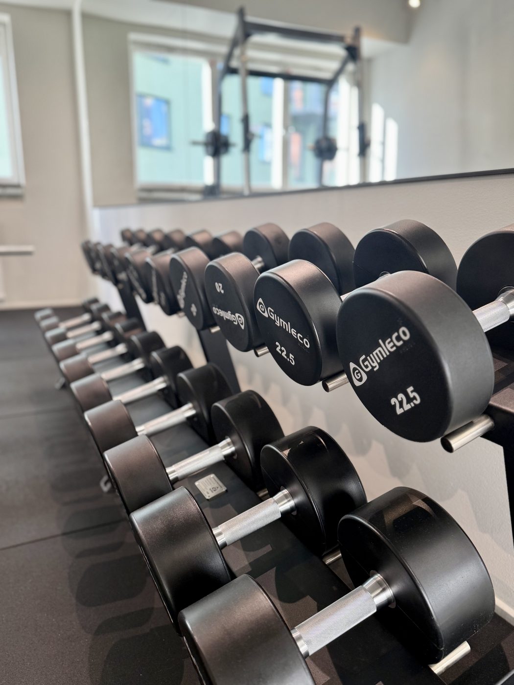 Hantelställ med Gymleco-hantlar